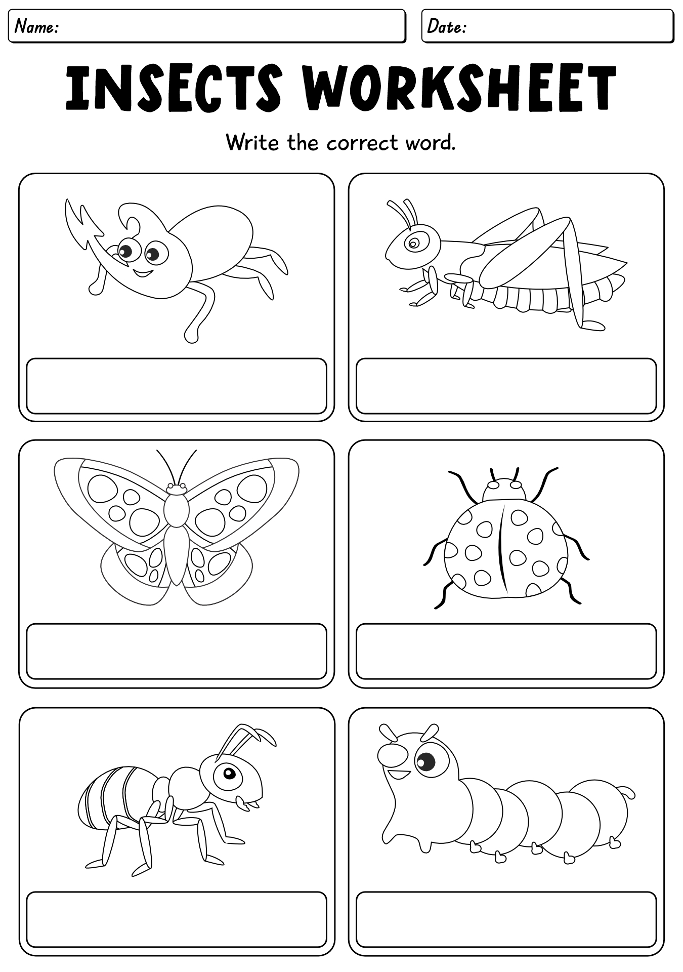 13 Kids Bug And Insects Worksheets Free PDF At Worksheeto 13 Kids Bug And Insects Worksheets Free PDF At Worksheeto