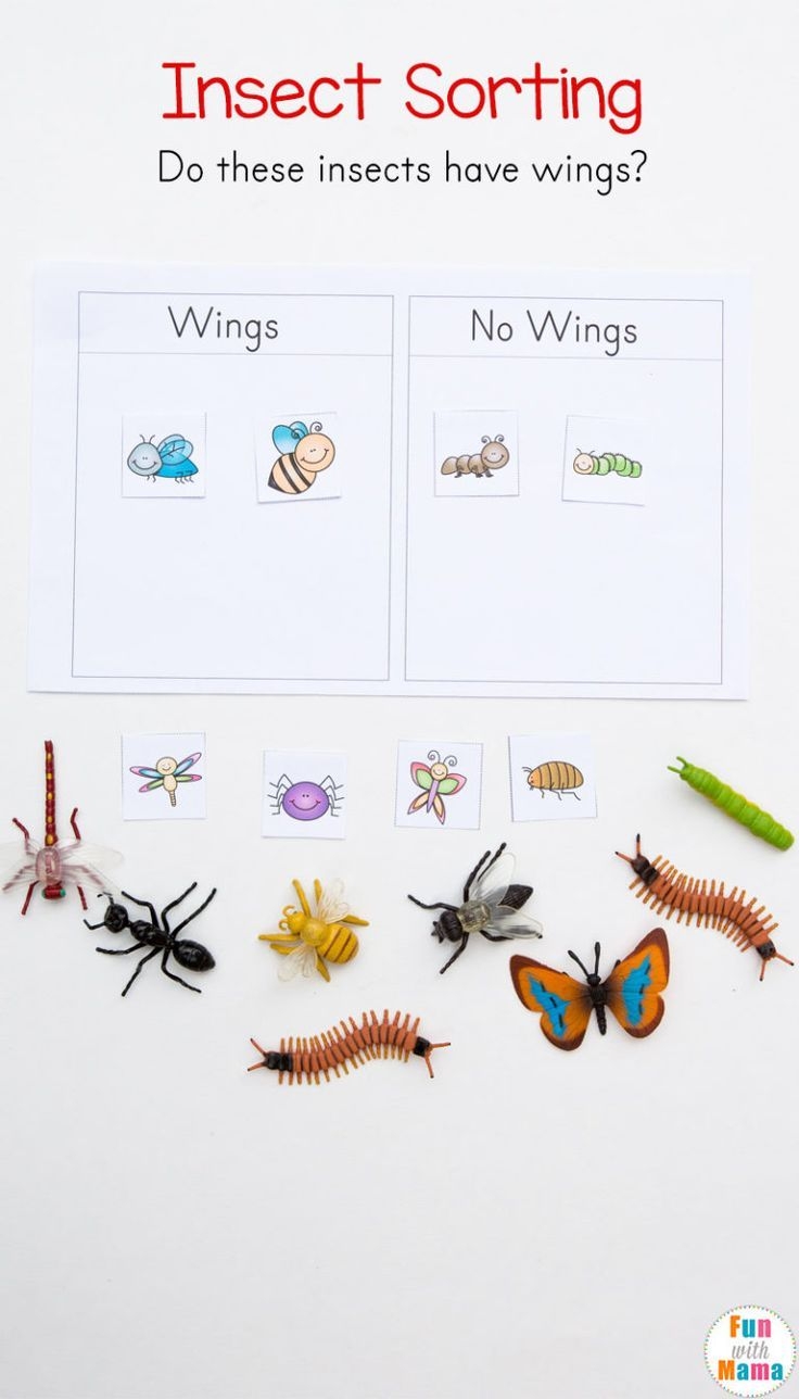 24 Preschool Insect Activities And Worksheets