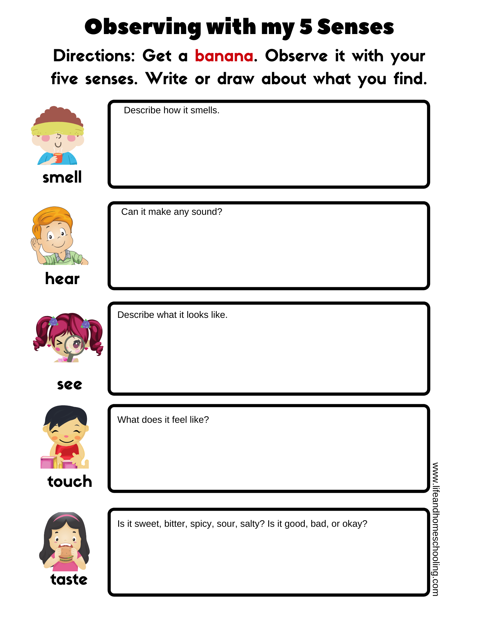 5 senses worksheets kindergarten 5 senses worksheets kindergarten