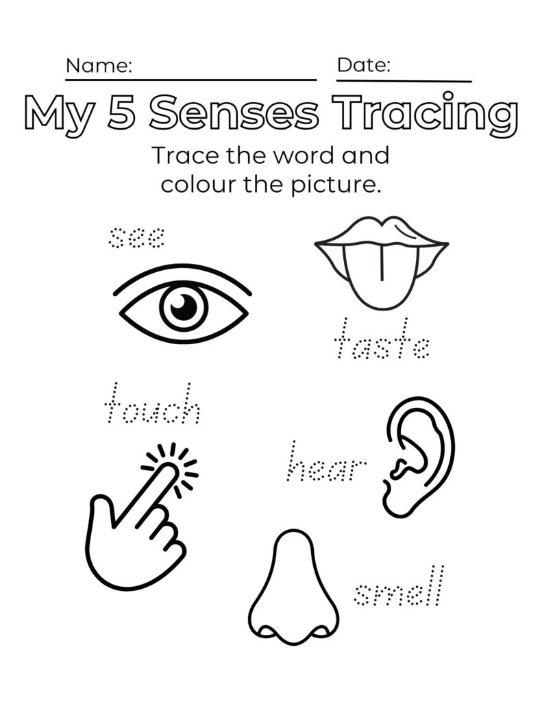 5 Senses Worksheet For Preschool FREE Resource Healing Home 5 Senses Worksheet For Preschool FREE Resource Healing Home