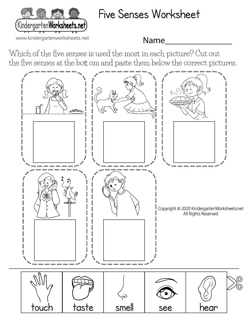 science worksheet for kindergarten science worksheet for kindergarten