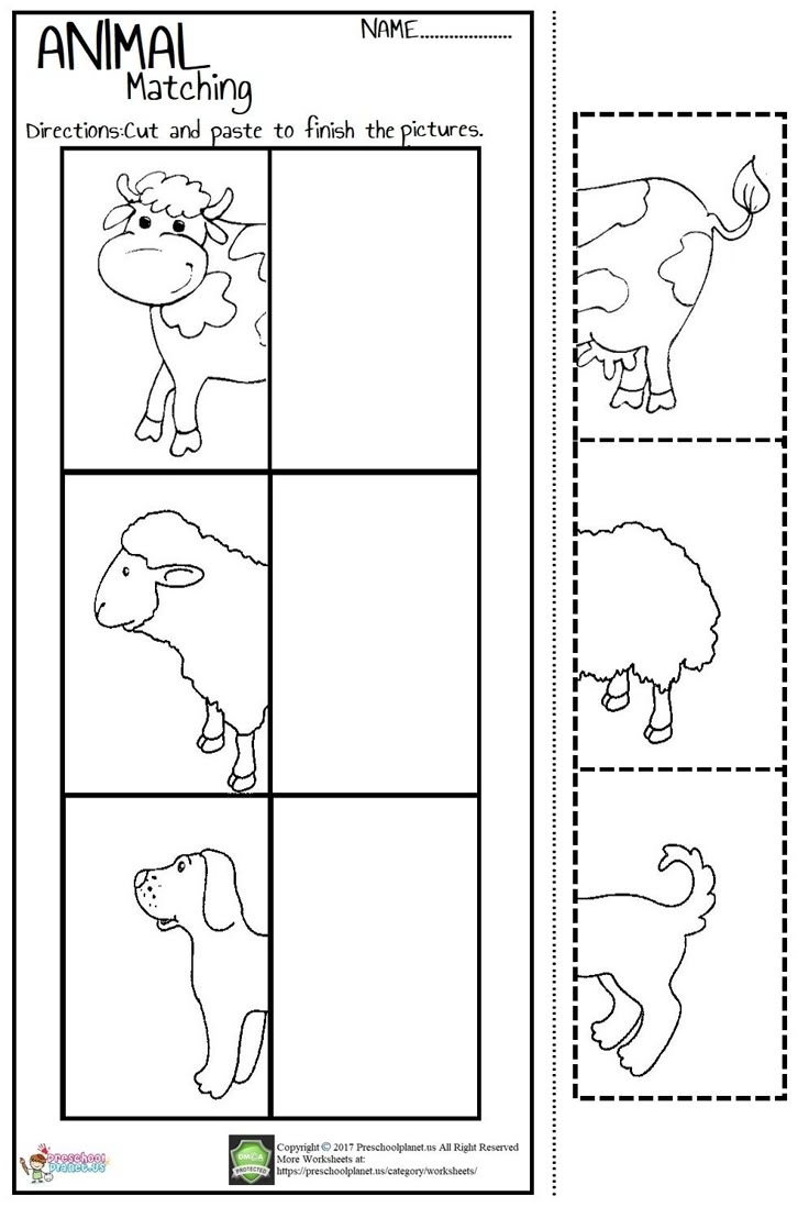 Animal Matching Worksheet