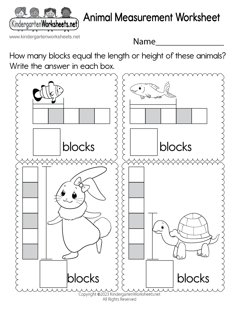Animal Measurement Worksheet Free Printable Digital PDF