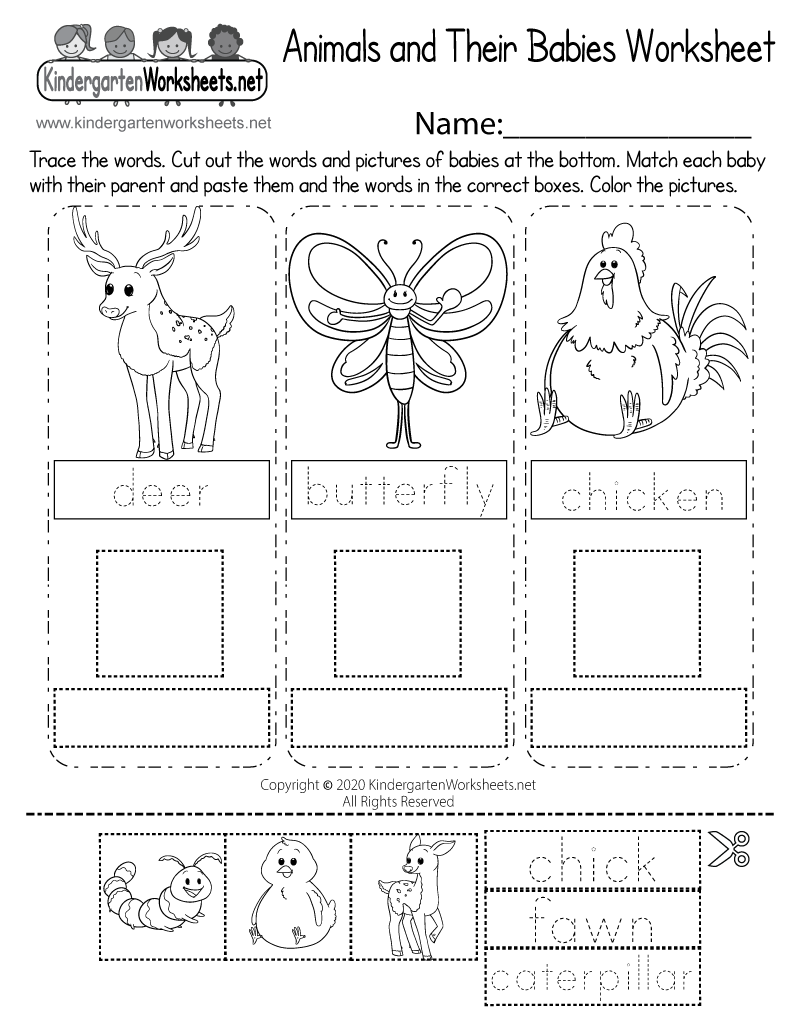 Animals And Their Babies Worksheet Free Printable Digital PDF