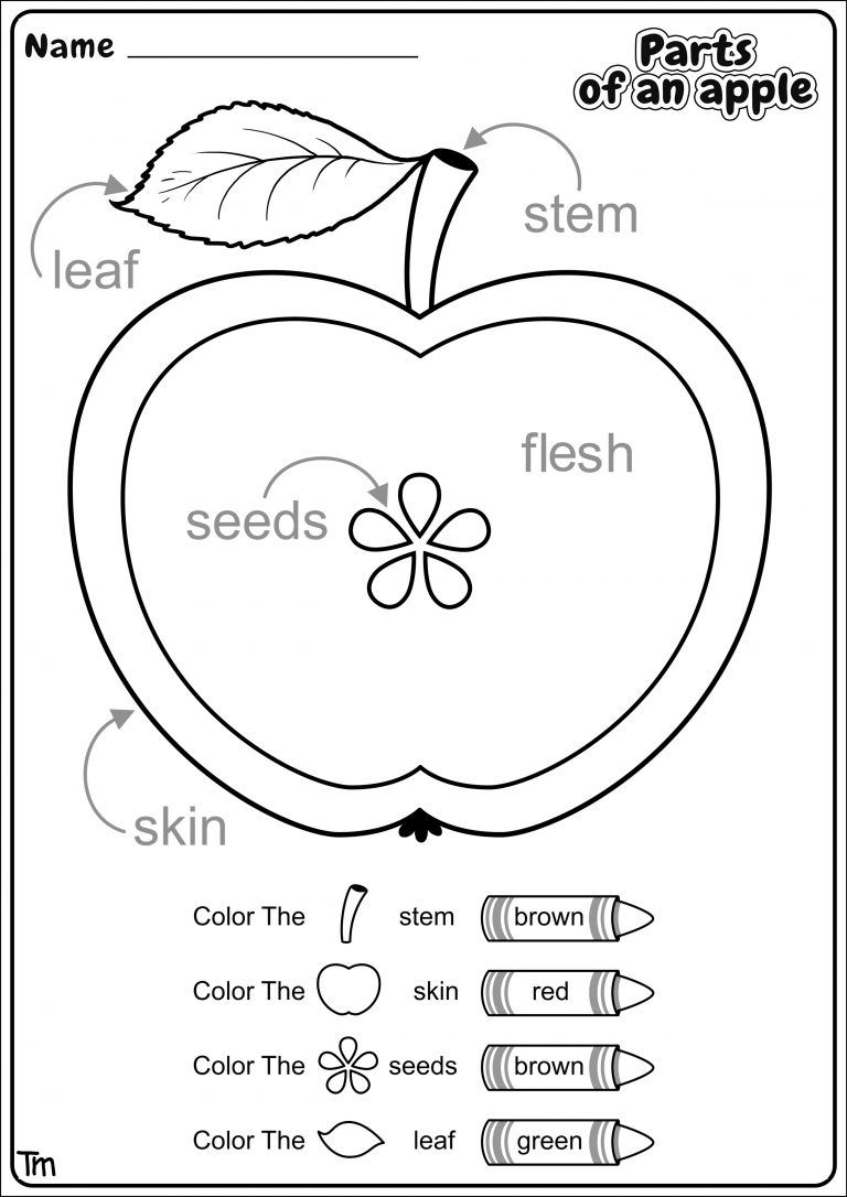 apple preschool activities worksheets