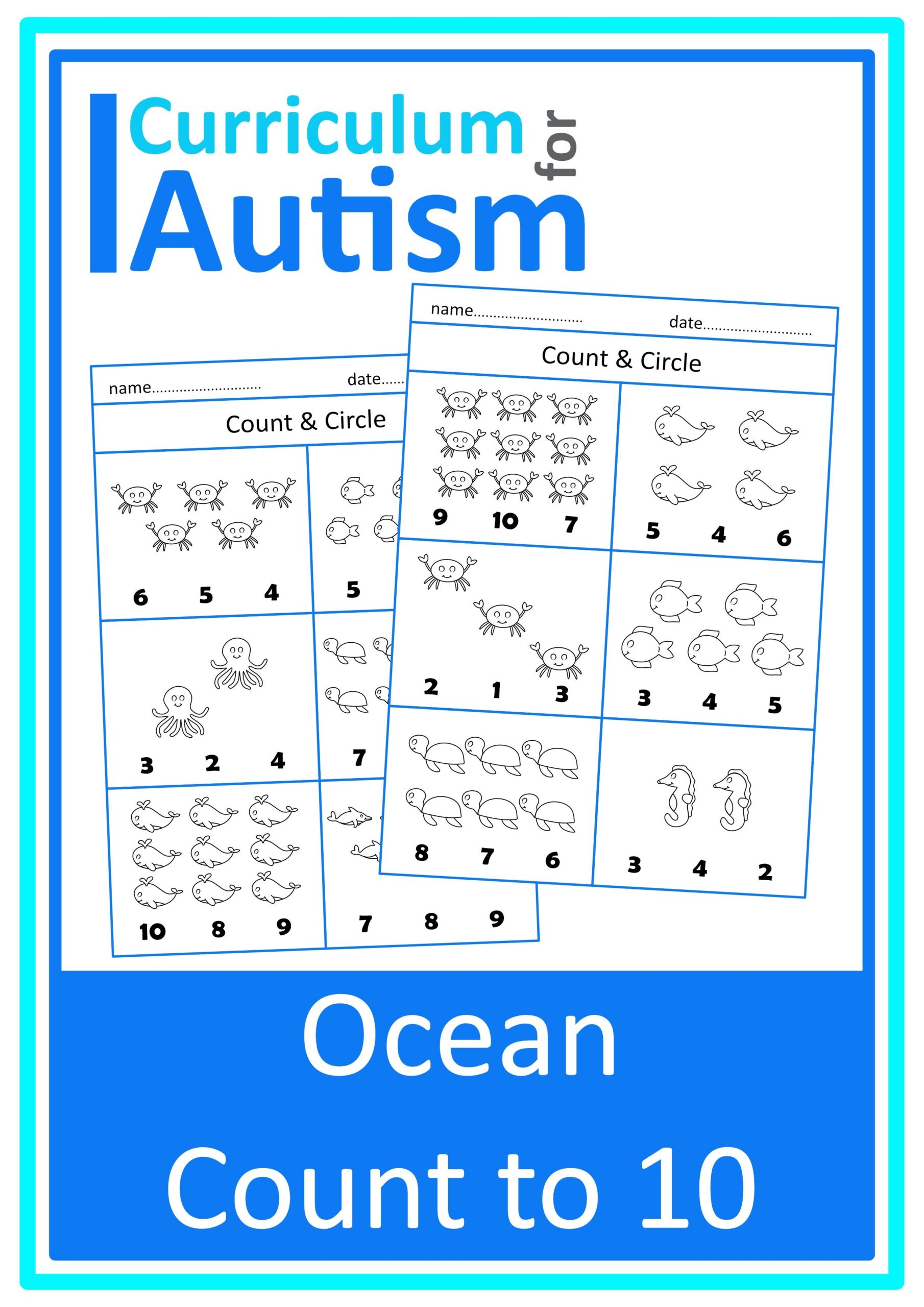 Autism Special Education Math Worksheets Cards Activities For Classroom Therapy Homeschool Curriculum For Autism