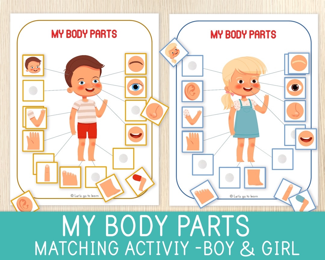 Body Parts Matching Activity Human Body Game Toddler Preschool Worksheets For Kids Busy Book Pages Homeschool Educational Game Etsy Denmark