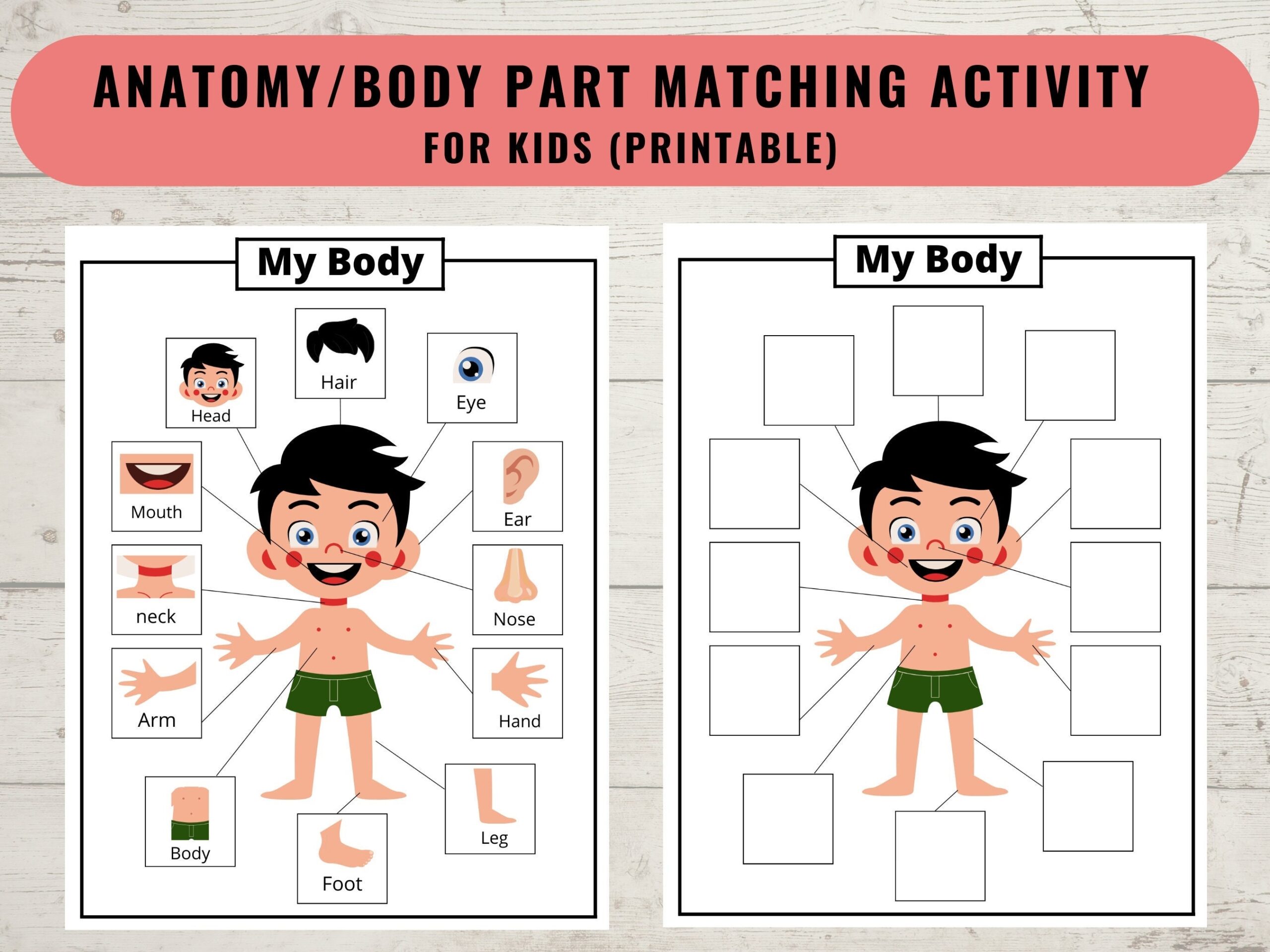 Body Parts Printable Activity For Kids Human Body Printable Matching Game Worksheet Coloring Page Homeschool Preschool Digital Download Etsy Body Parts Printable Activity For Kids Human Body Printable Matching Game Worksheet Coloring Page Homeschool Preschool Digital Download Etsy