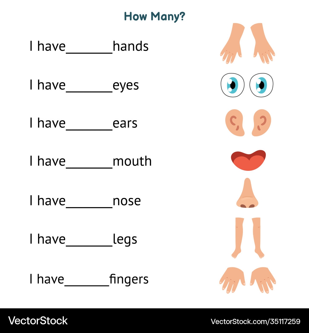 Body Parts Worksheet For Kids Royalty Free Vector VectorStock