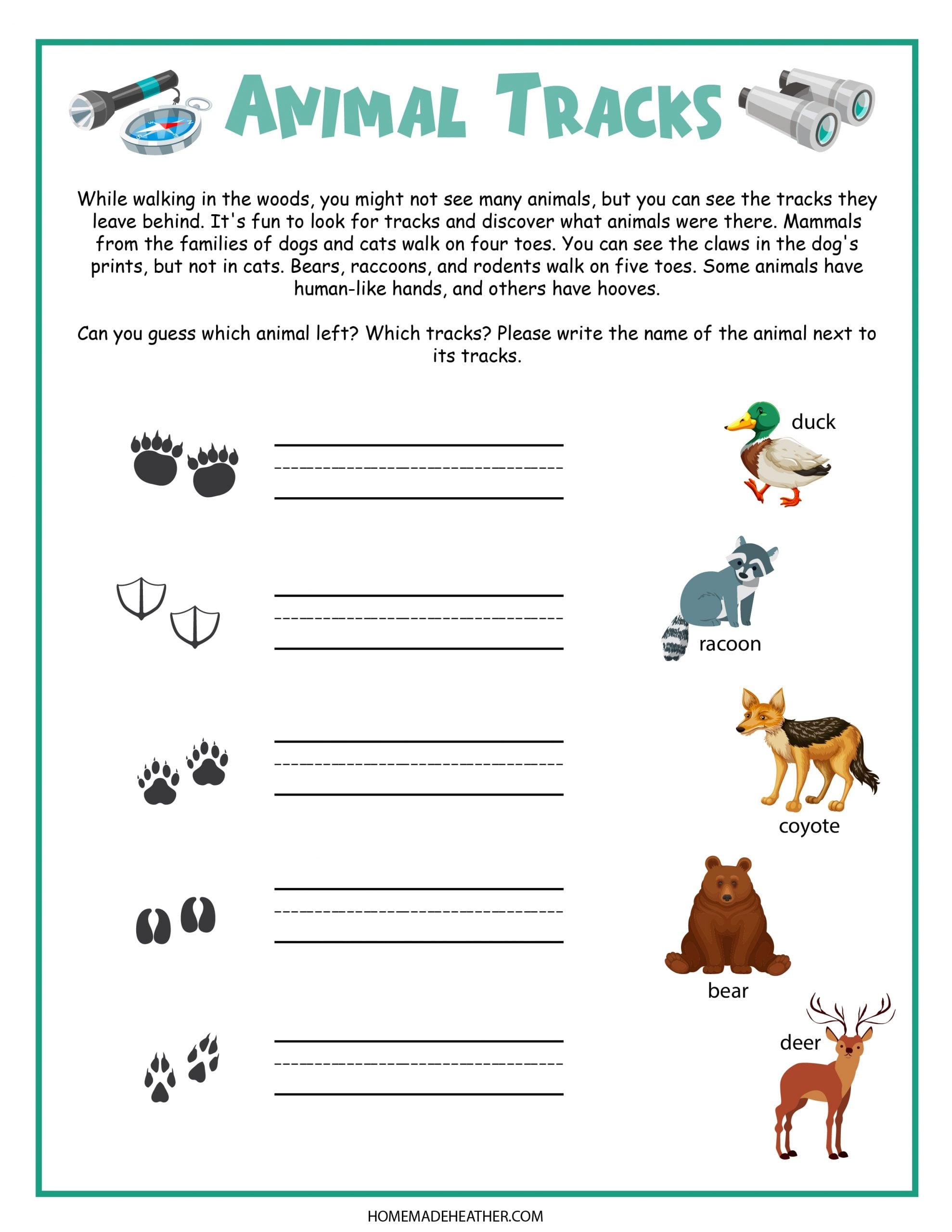 Camping Printable Activity Sheets Campfire Foodie