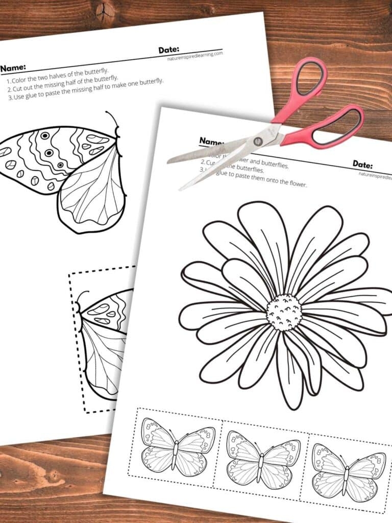 Cut And Paste Worksheets Nature Inspired Learning