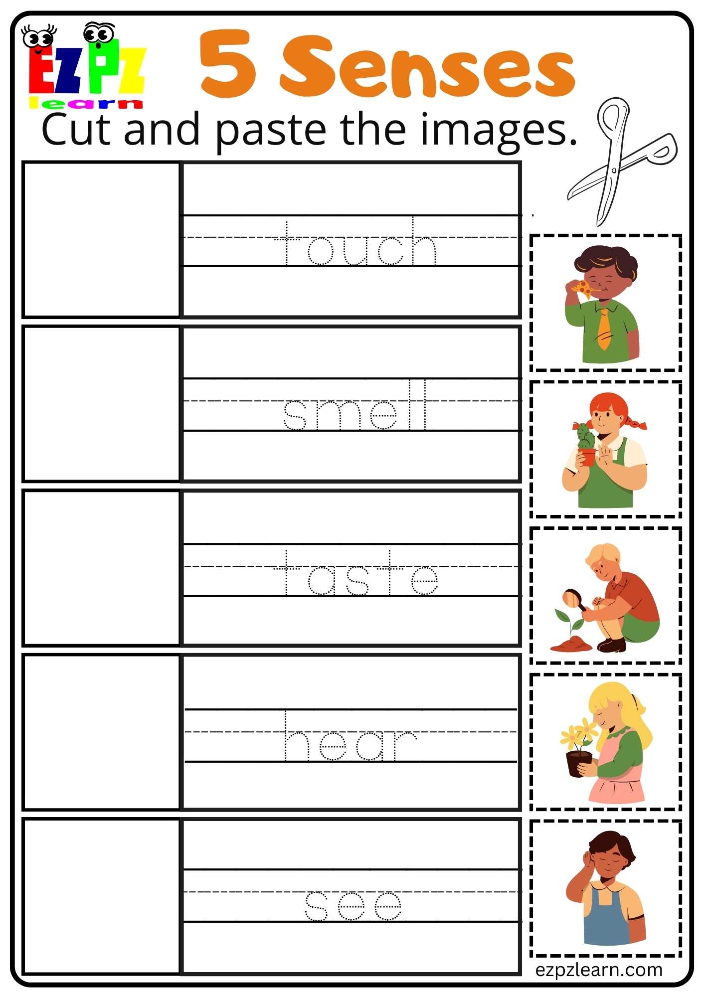 five senses for kindergarten worksheets