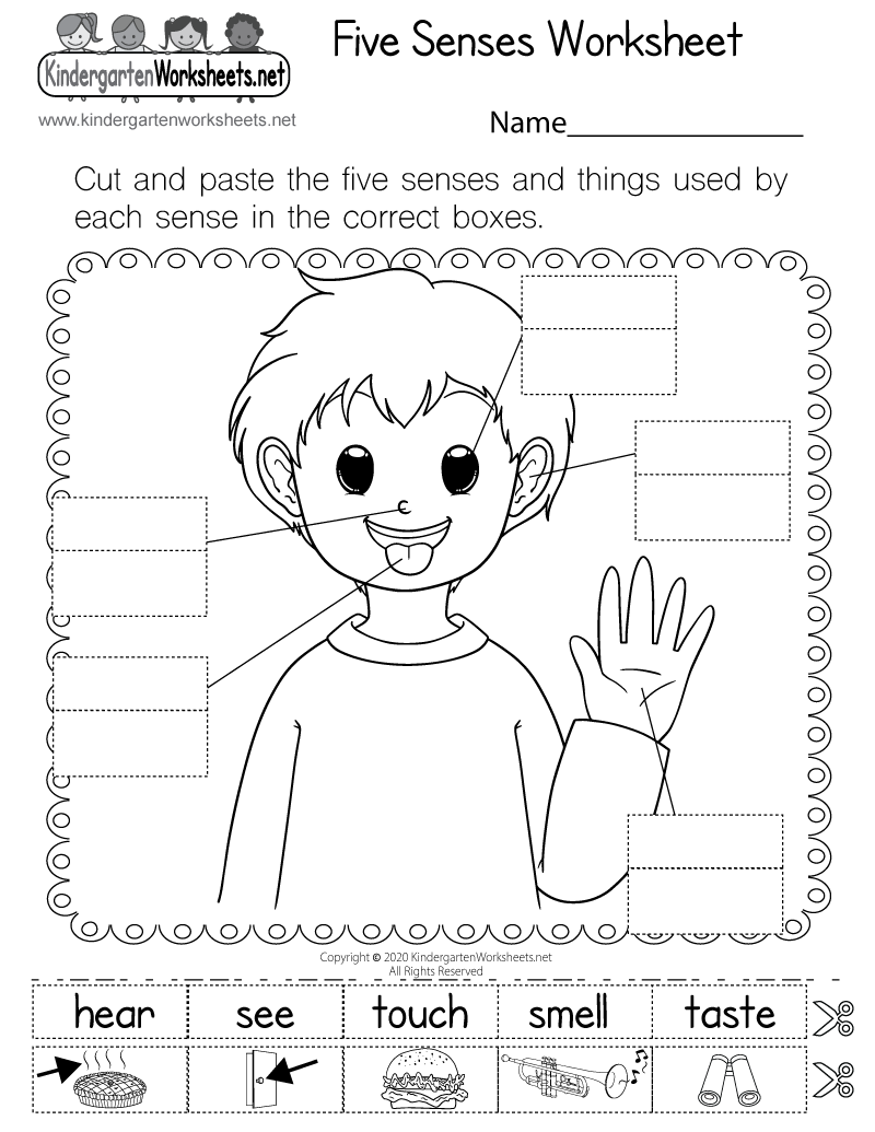 kindergarten science free printable worksheets
