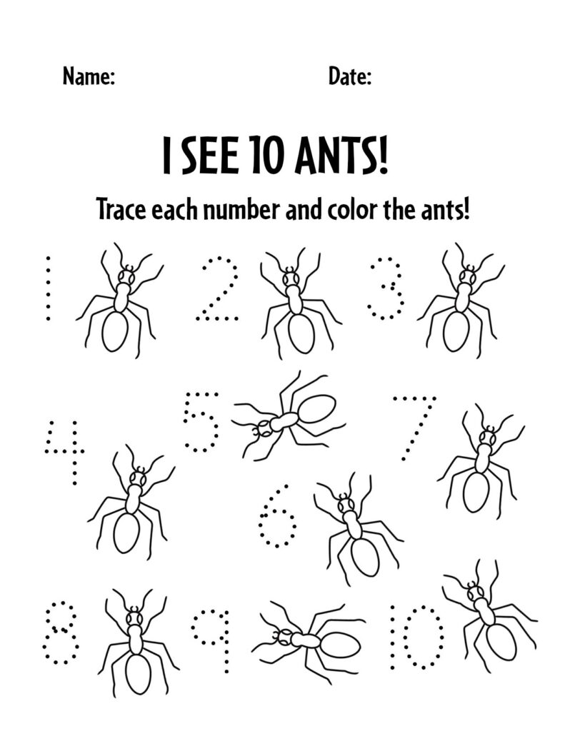Free And Fun Bug Activities For Preschool The Hollydog Blog