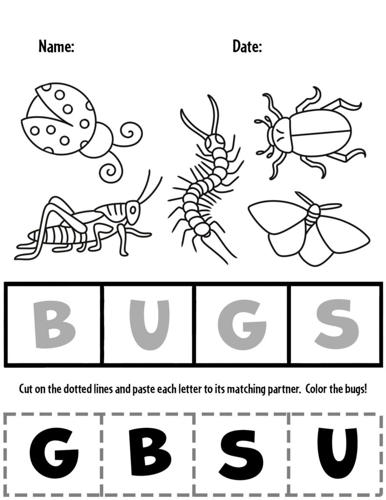 Free And Fun Bug Activities For Preschool The Hollydog Blog