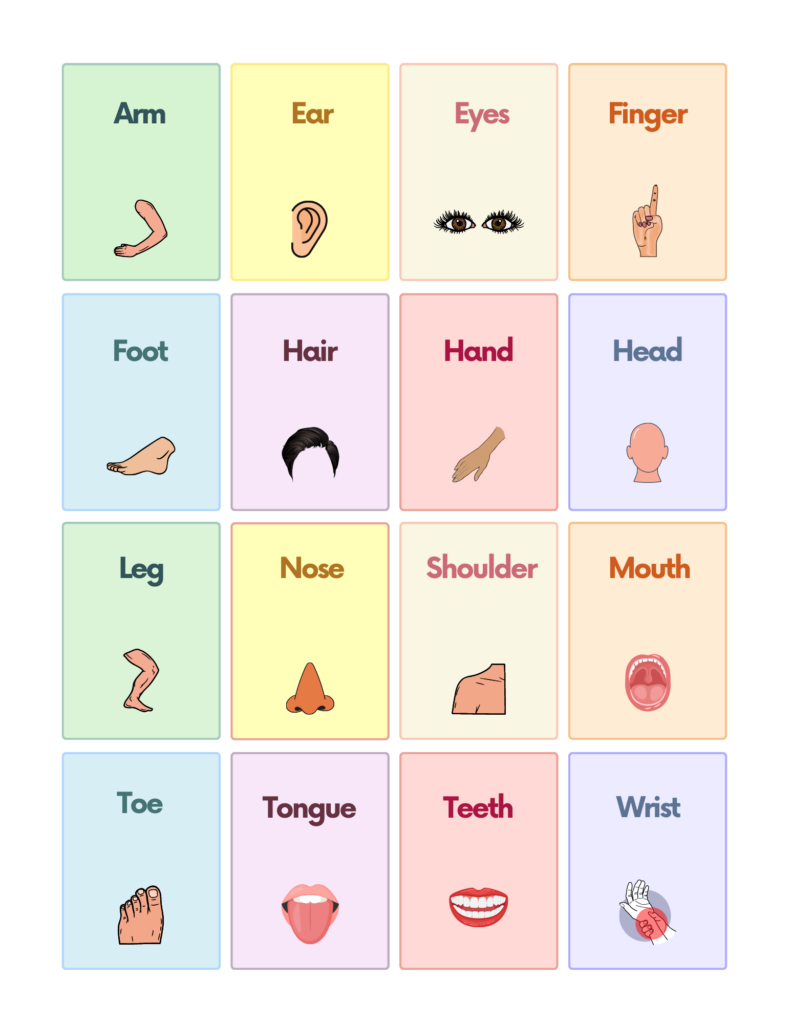 Free Autism And Speech Therapy Printable Flashcards AutisticHub