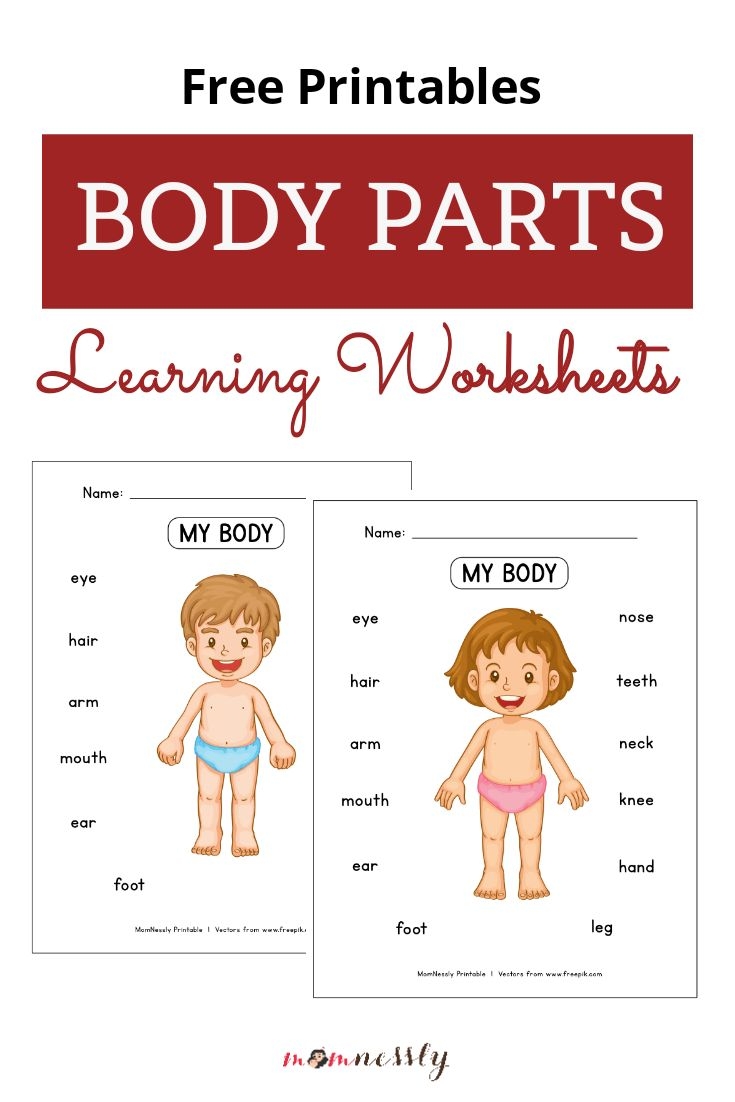 body parts worksheets for preschoolers body parts worksheets for preschoolers