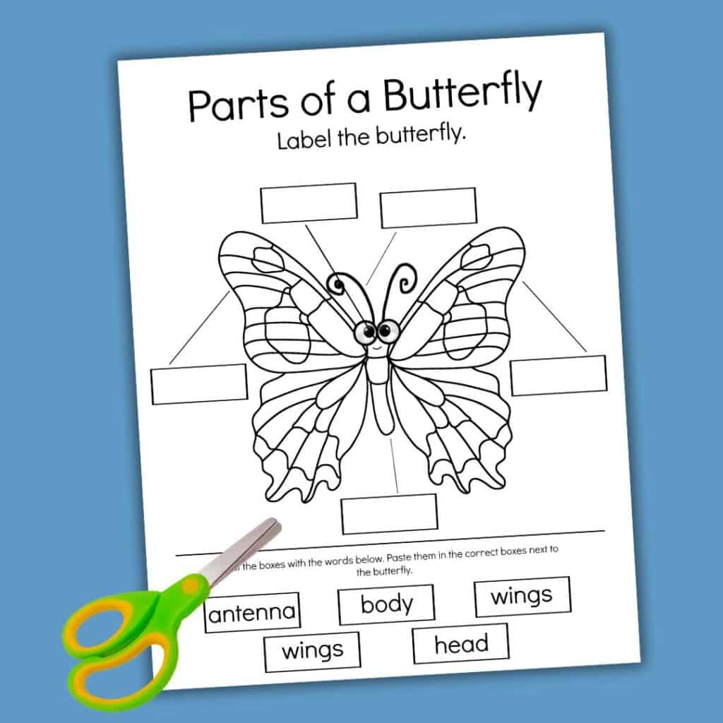 Free Parts Of A Butterfly Worksheet Fun Activities 