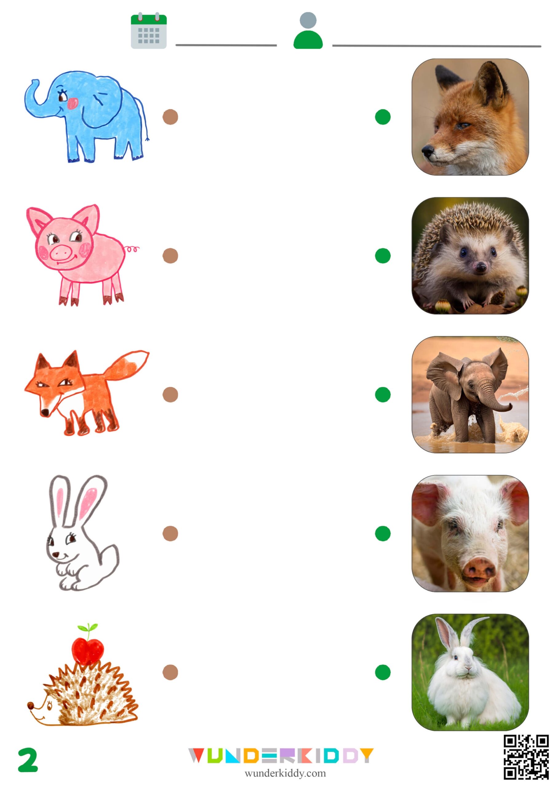 Free Printable Animal Worksheets For Kindergarten Homework