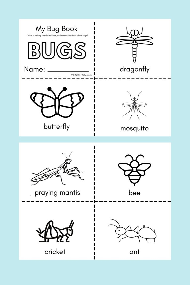 Free Printable Bug Book For Kids To Create And Share Hey Kelly Marie Free Printable Bug Book For Kids To Create And Share Hey Kelly Marie