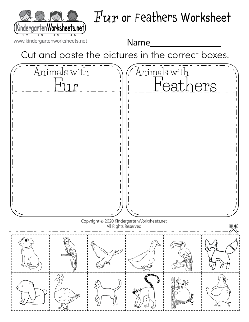 kindergarten worksheets science