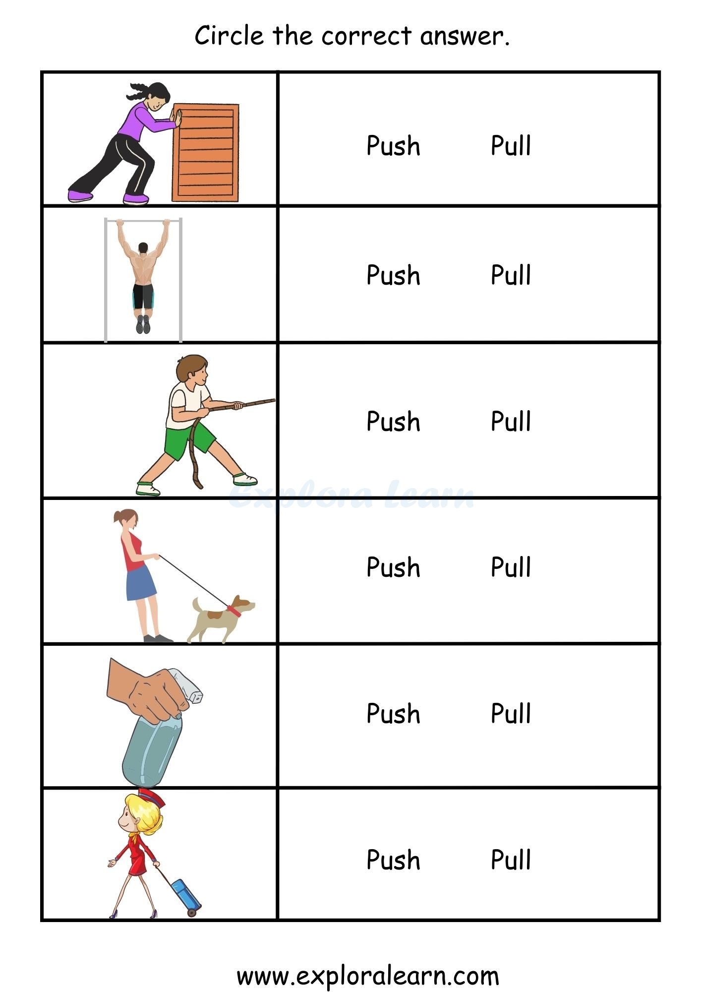 Fun Science Worksheet Activities For First Graders