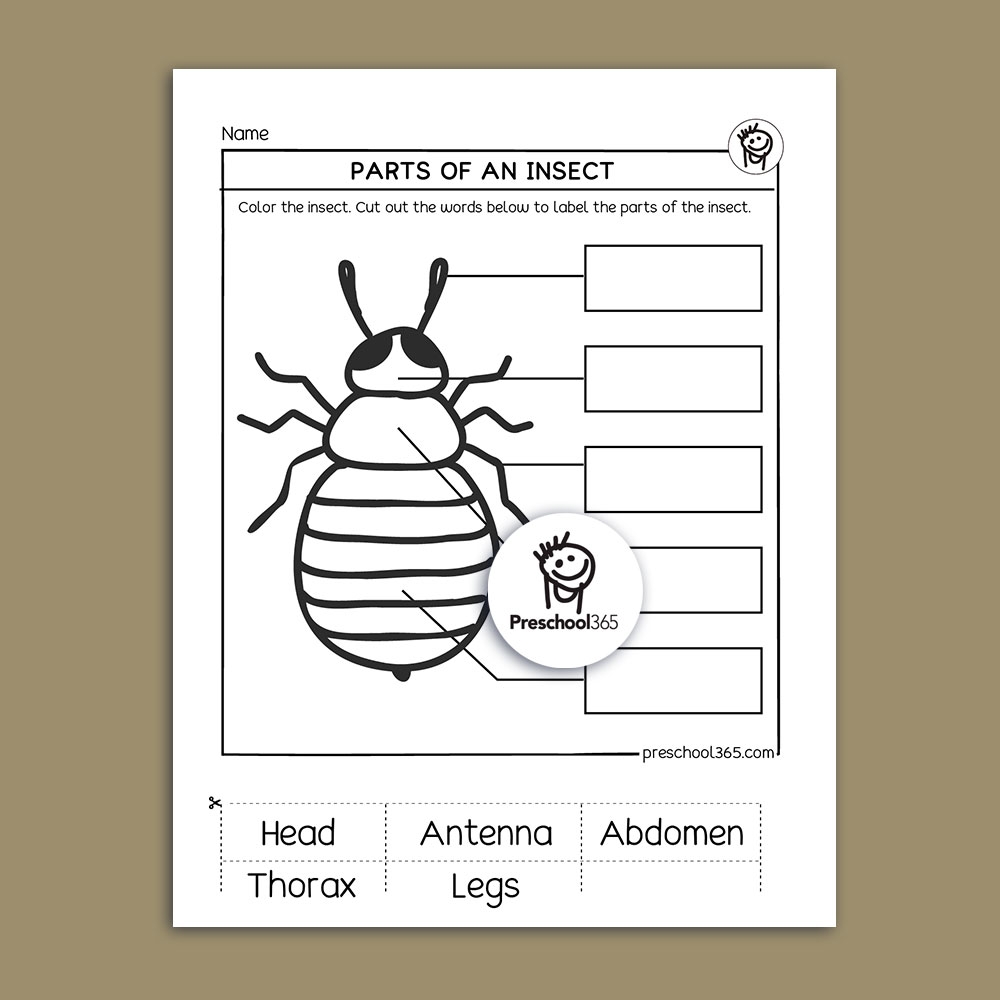 I See A Bug Science Activity Packet 14pages Great Packet For Insects I See A Bug Science Activity Packet 14pages Great Packet For Insects