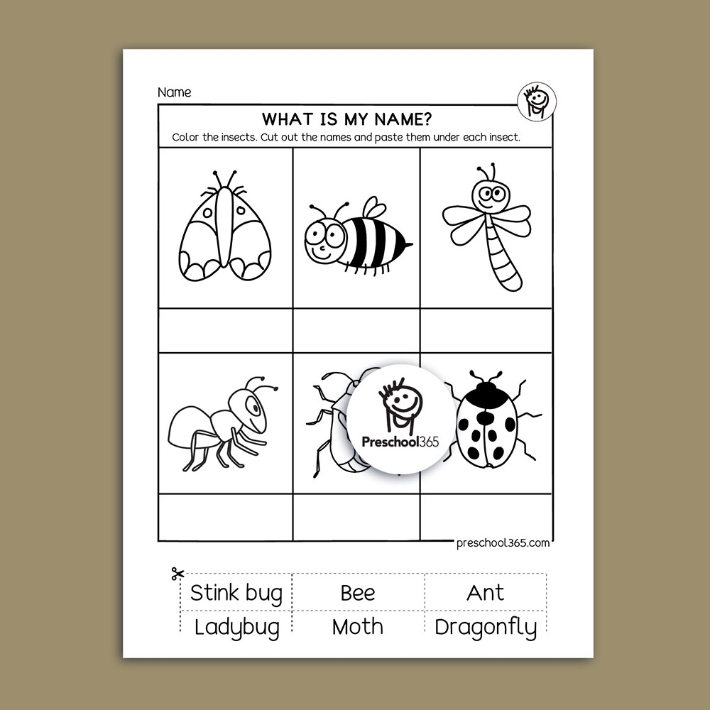 I See A Bug Science Activity Packet 14pages Great Packet For Insects I See A Bug Science Activity Packet 14pages Great Packet For Insects
