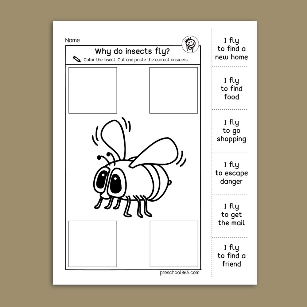 insect worksheets for preschoolers