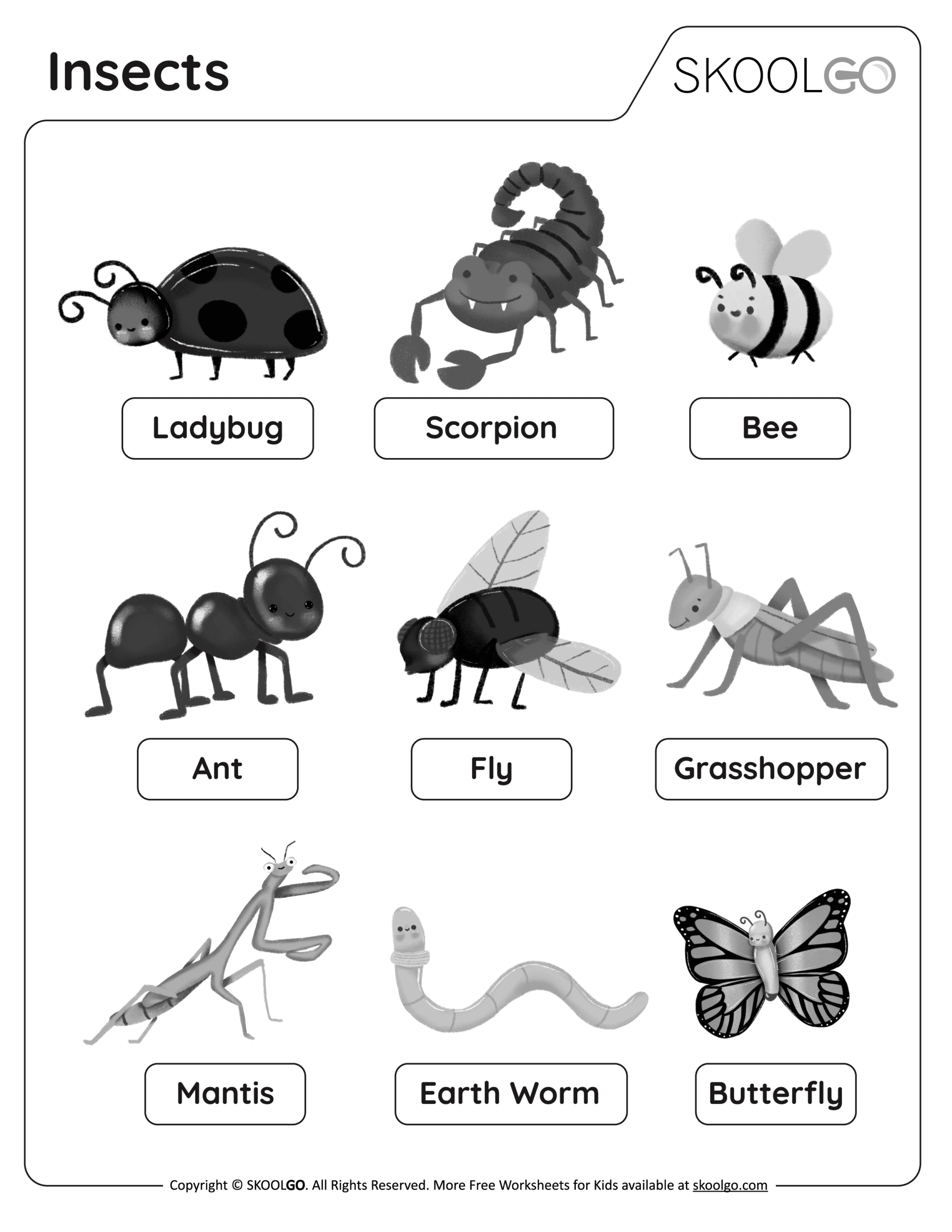 Insects Free Worksheet SKOOLGO Insects Free Worksheet SKOOLGO