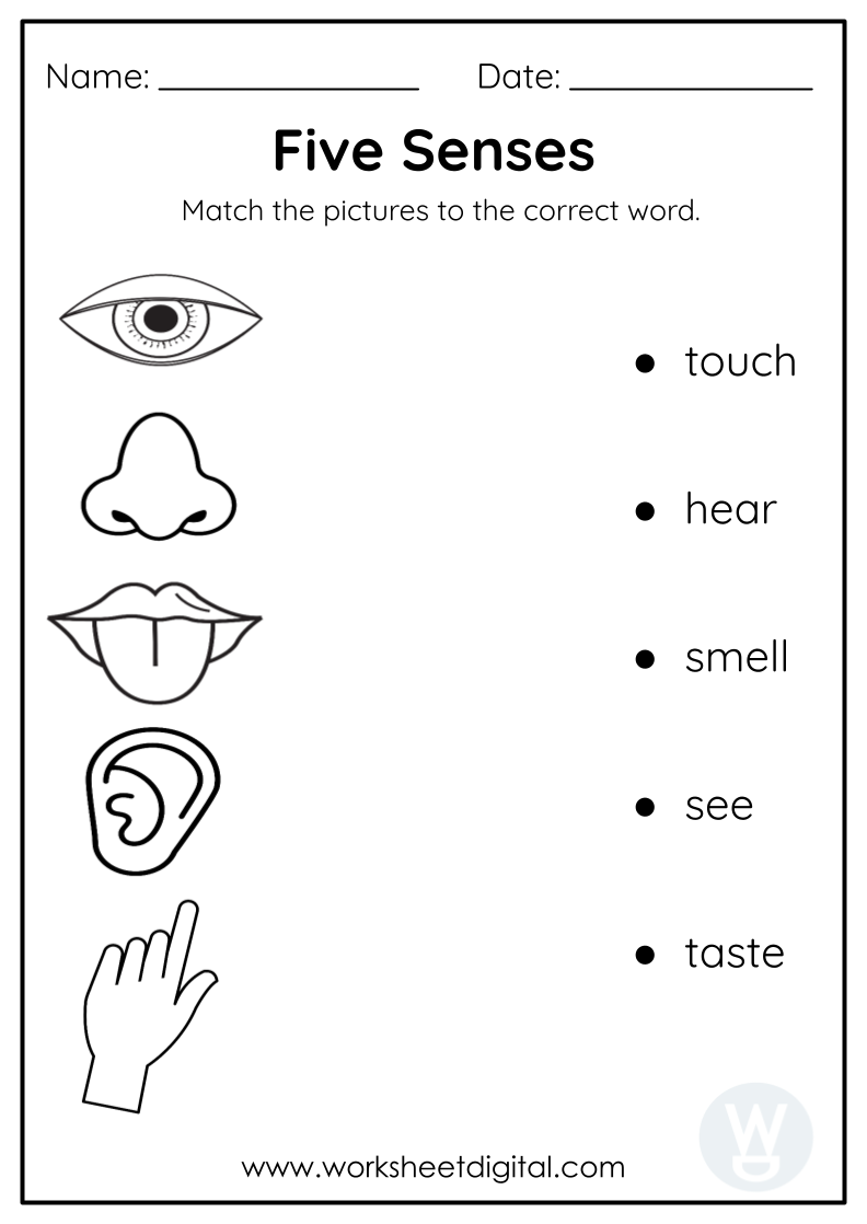 Kindergarten Science Worksheets