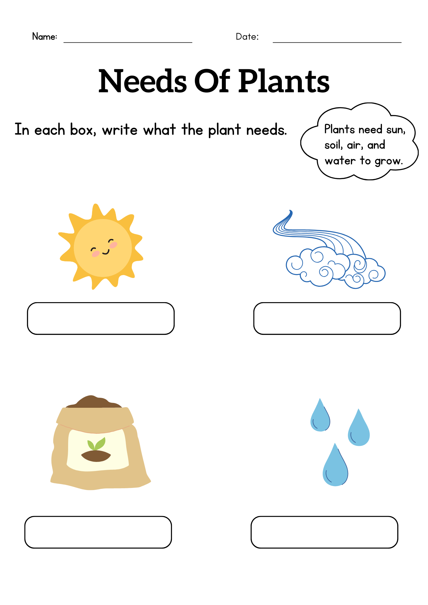 Kindergarten What Do Plants Need To Grow Worksheet Plant Basic Needs Made By Teachers