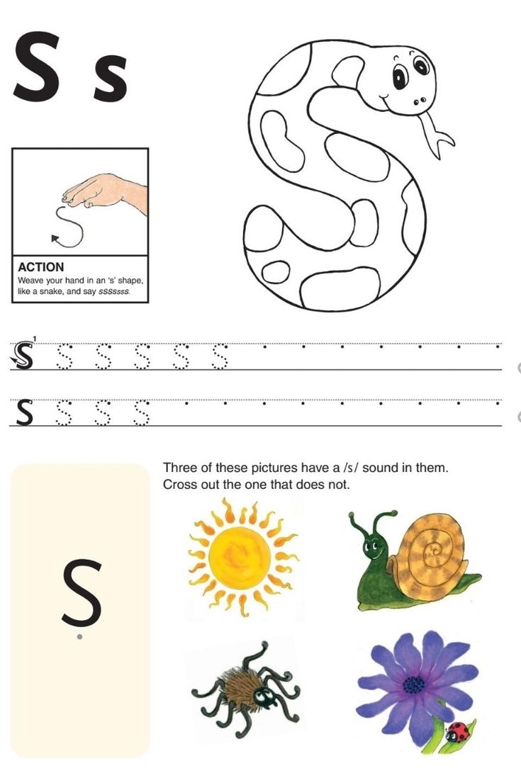 Letter S Worksheet With Pictures And Words