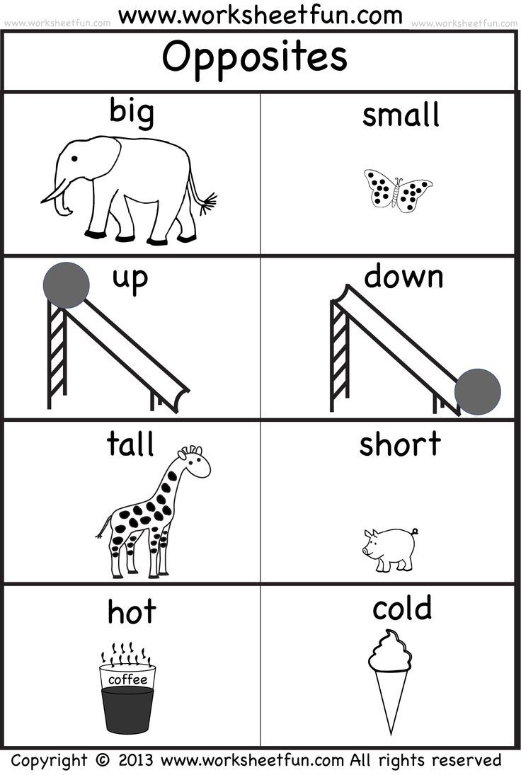 opposites worksheet preschool