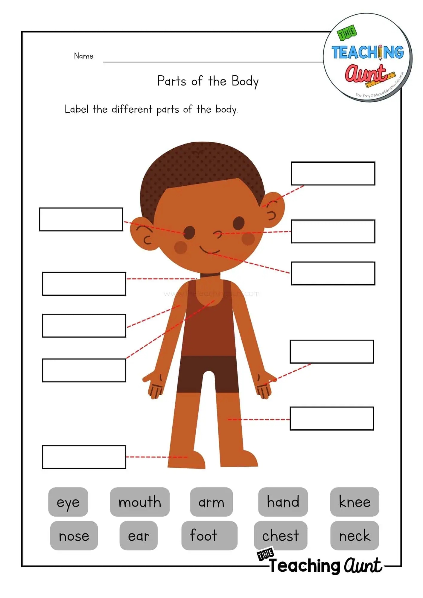 Parts Of The Body Worksheets The Teaching Aunt