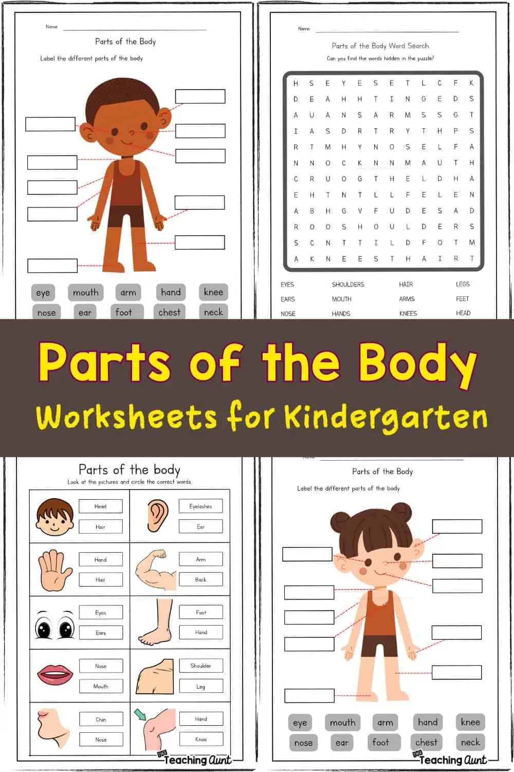 Parts Of The Body Worksheets The Teaching Aunt