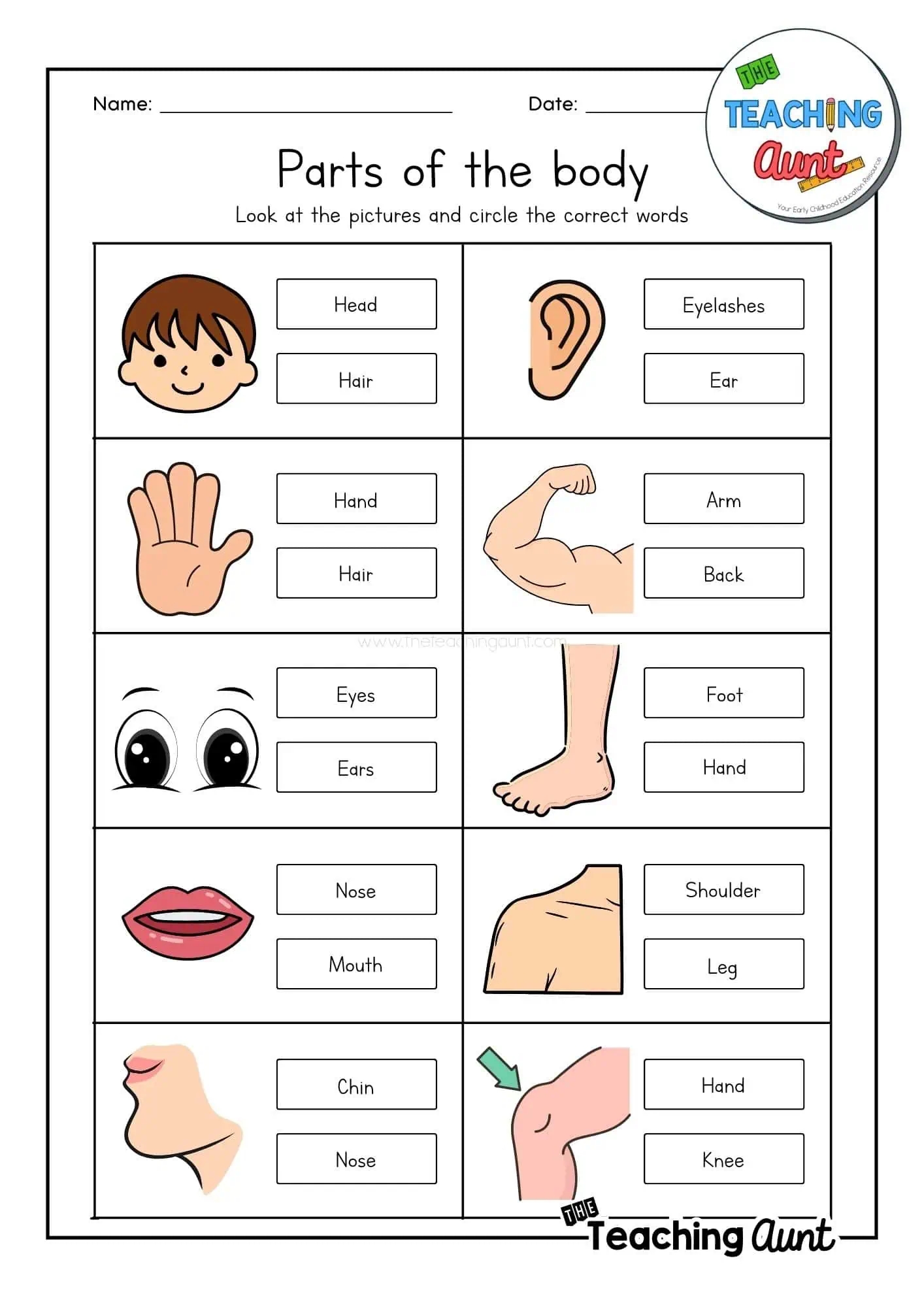 Parts Of The Body Worksheets The Teaching Aunt