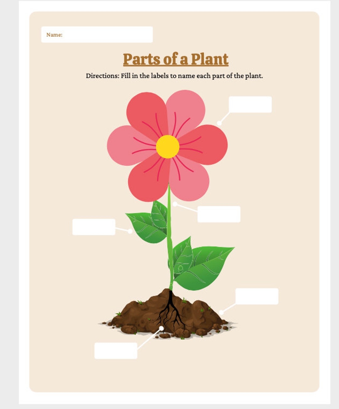 Parts Of The Plant Worksheet Parts Of The Plant Labeling Activity Etsy