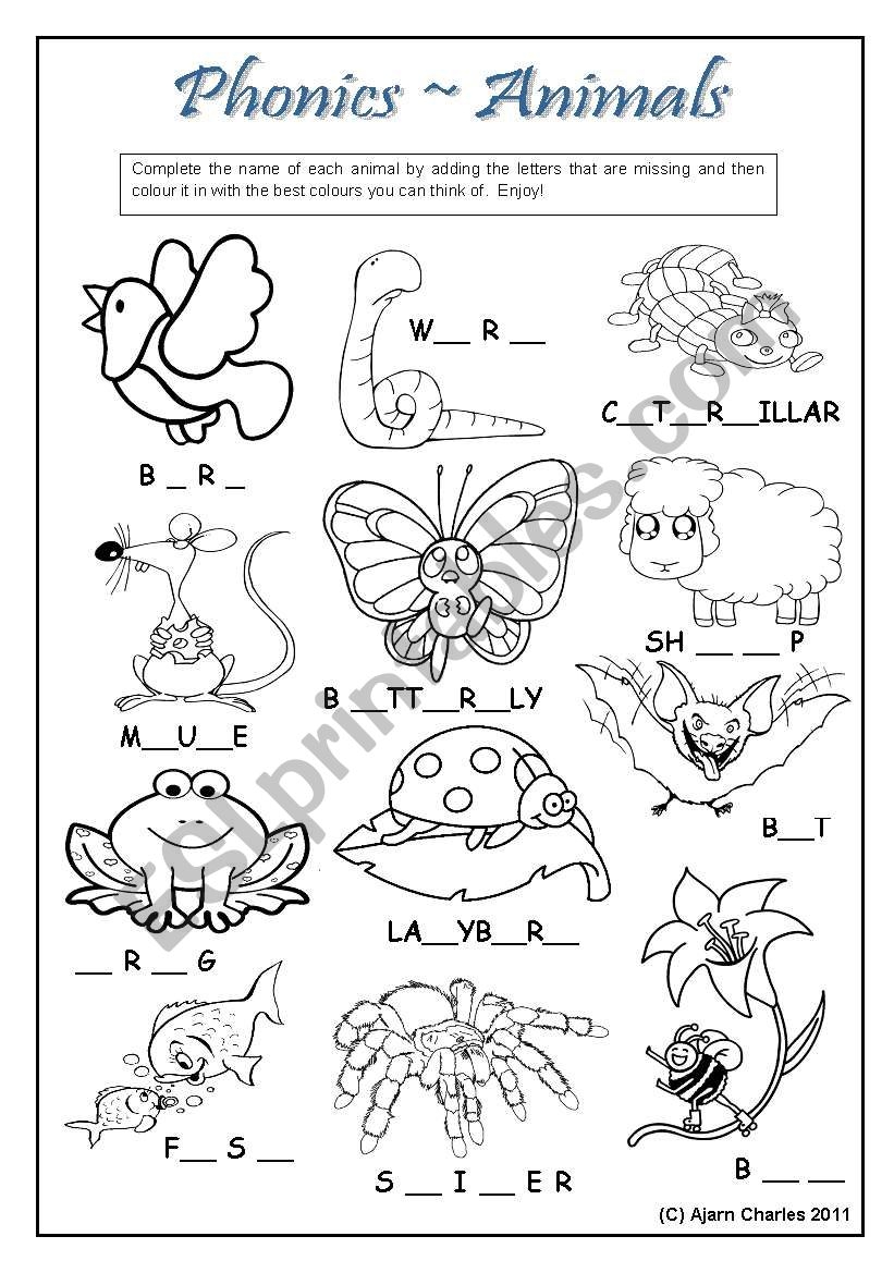 Phonics Animals ESL Worksheet By Disappointed