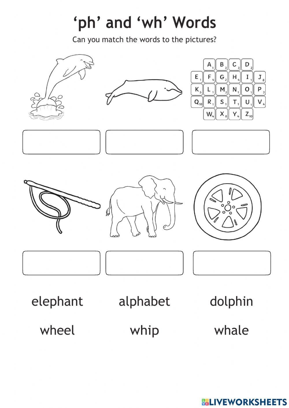 Phonics Ph And Wh Worksheet Worksheets Library
