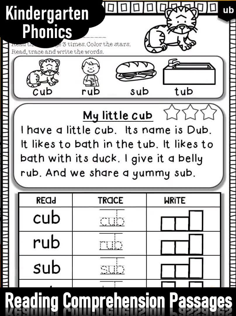 Phonics Reading Comprehension Passages And Activities Short Vowel Etsy