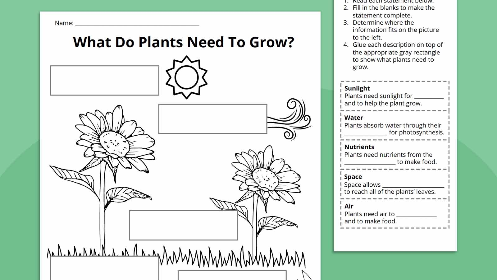 plants worksheet for kindergarten