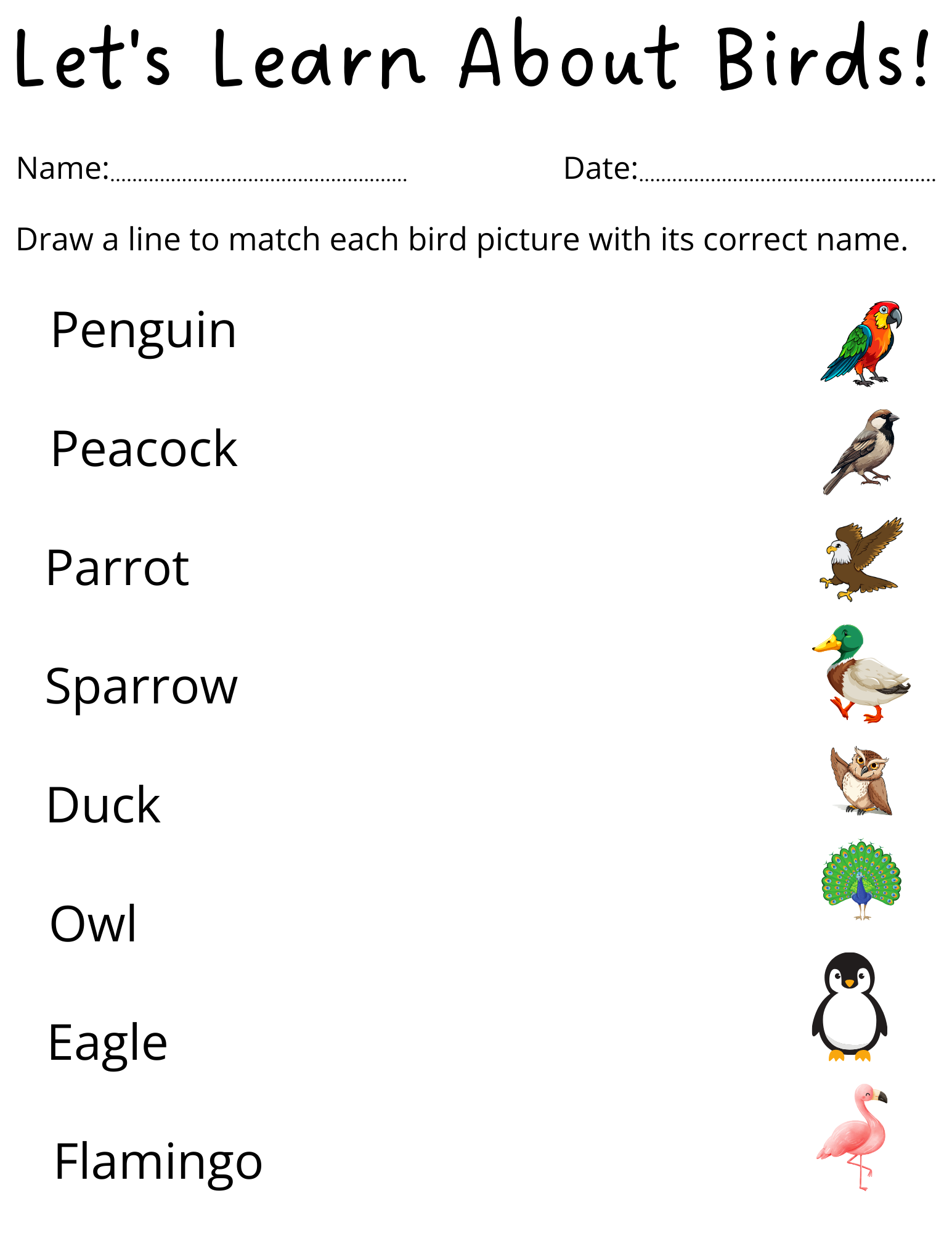 Preschool Birds Name Worksheet For Kindergarten Made By Teachers