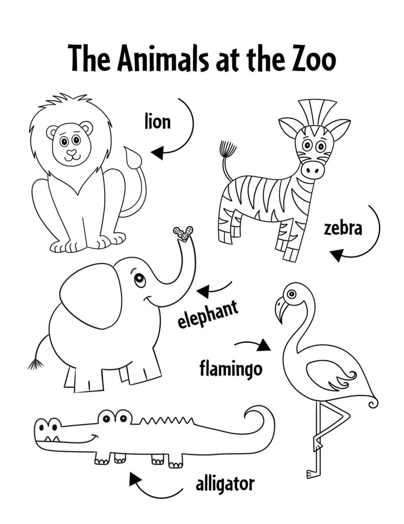 animals worksheet preschool