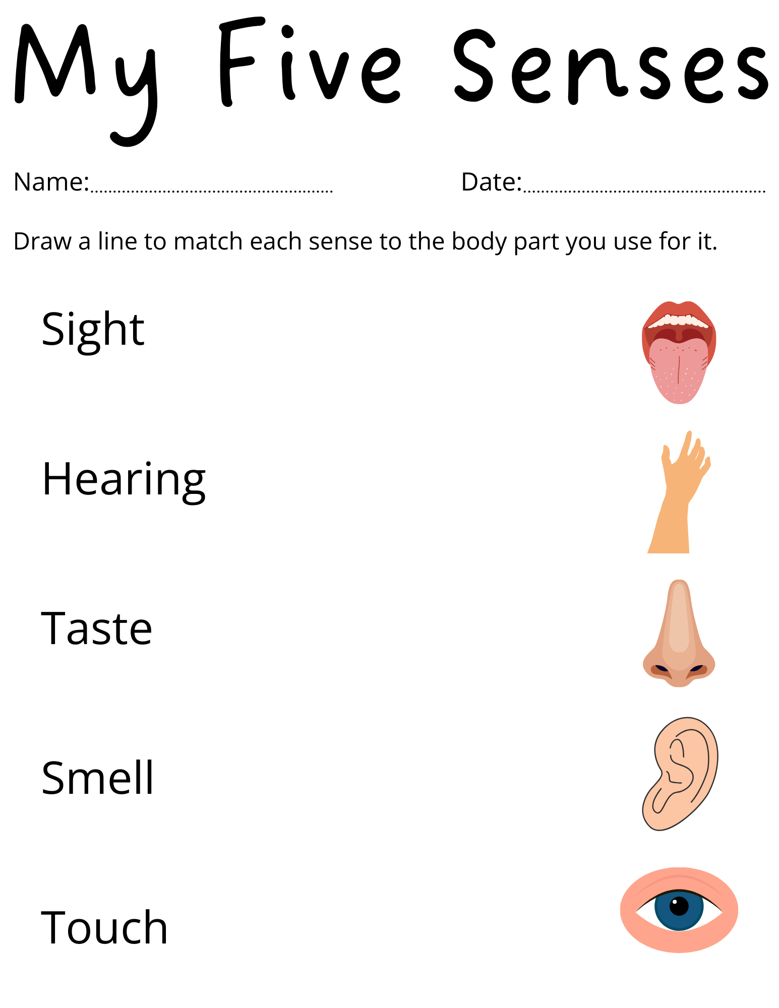 kindergarten five senses worksheets