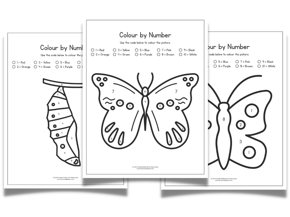 butterfly worksheet preschool