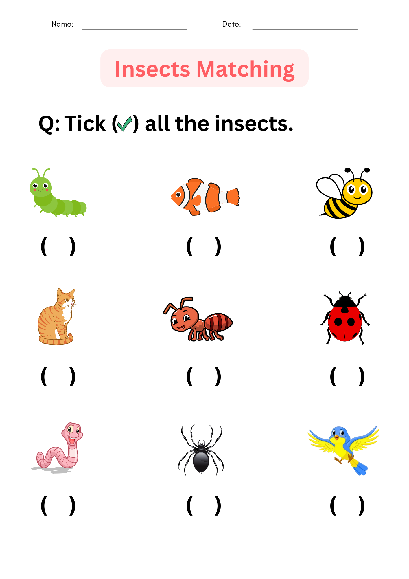 Printable Insects Worksheet For Kindergarten Identify And Matching For Grade 1 Made By Teachers