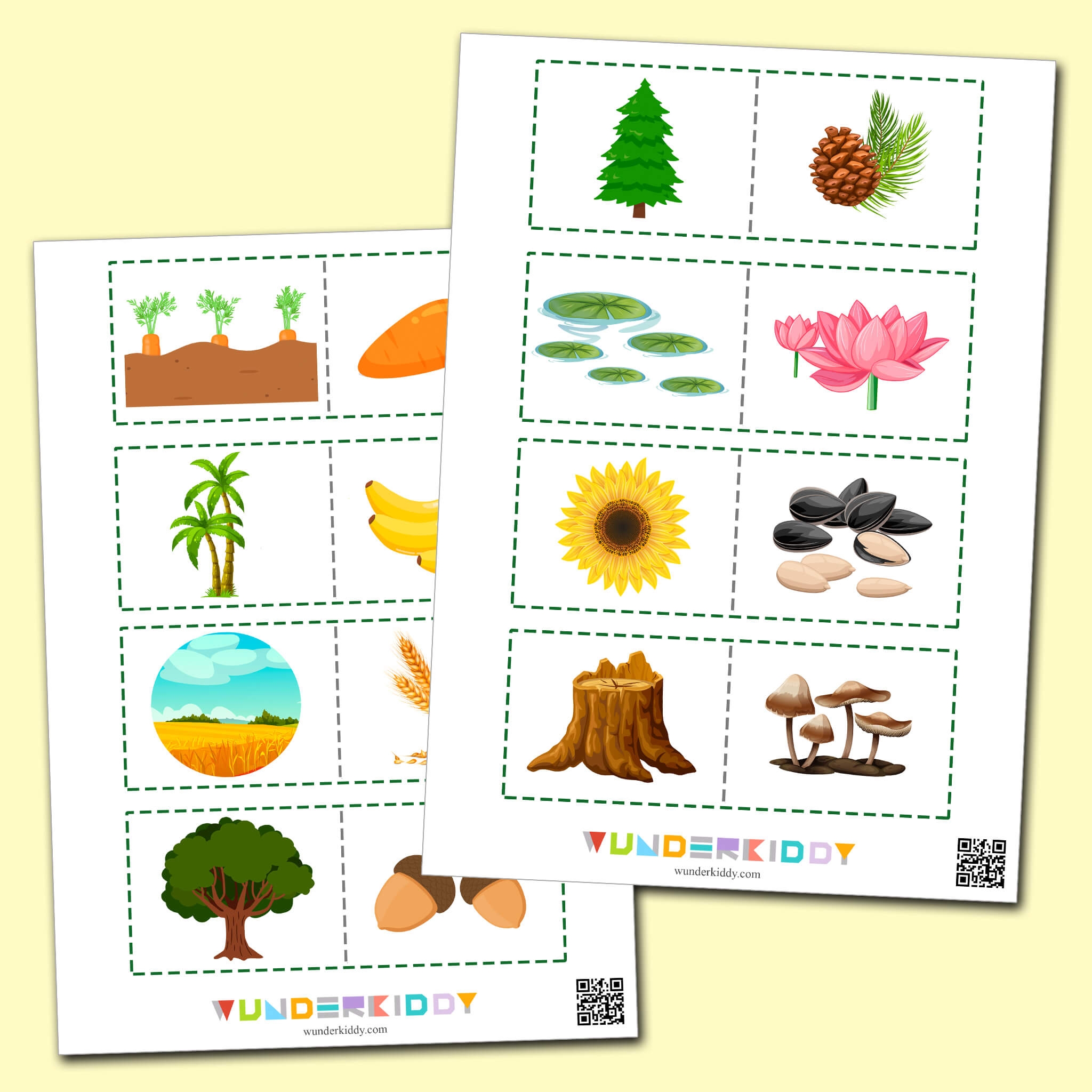Printable Matching Worksheet Where Do They Grow 