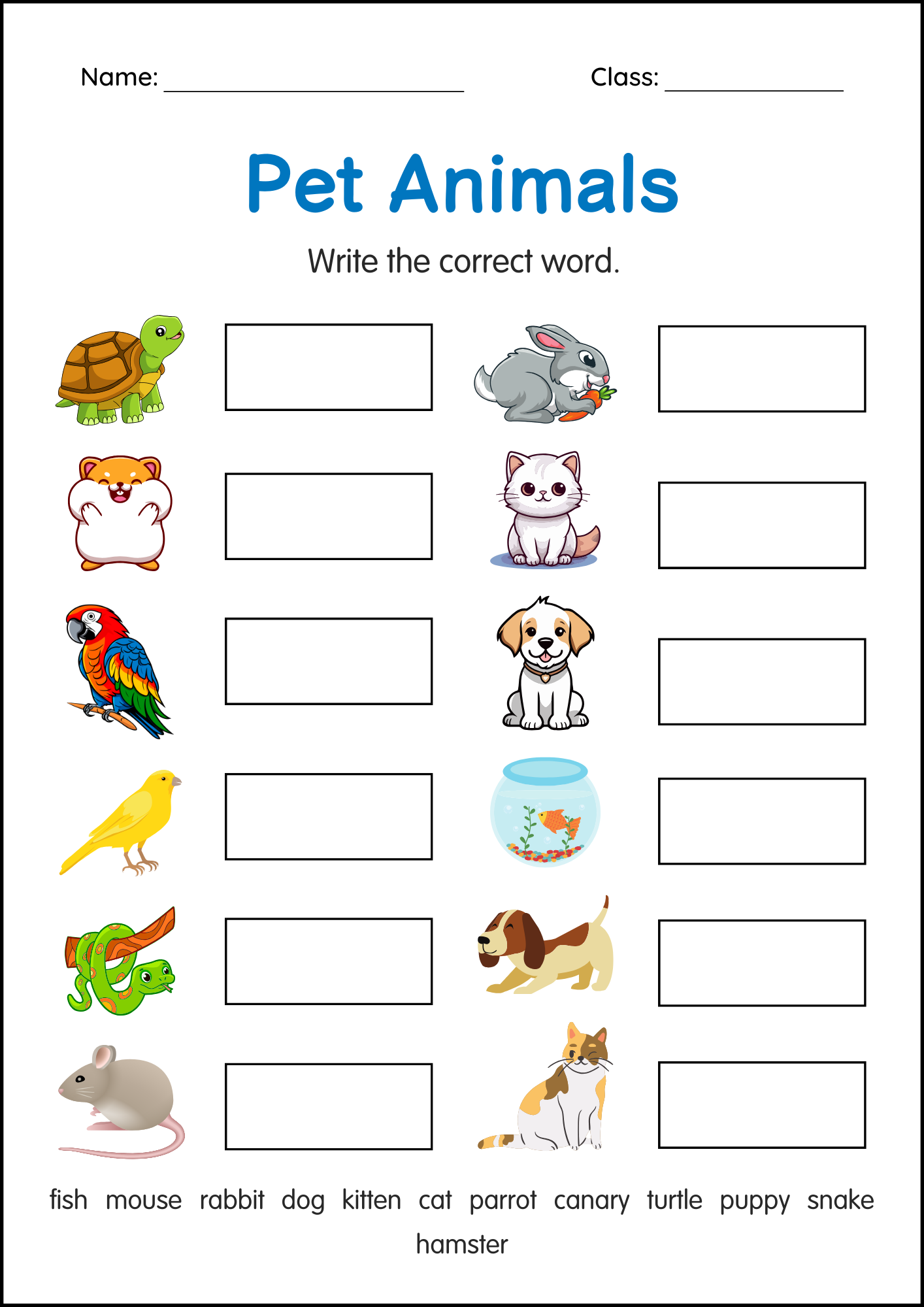 Printable Pets Animals Activity Worksheets For Grade 1 2 3 Made By Teachers