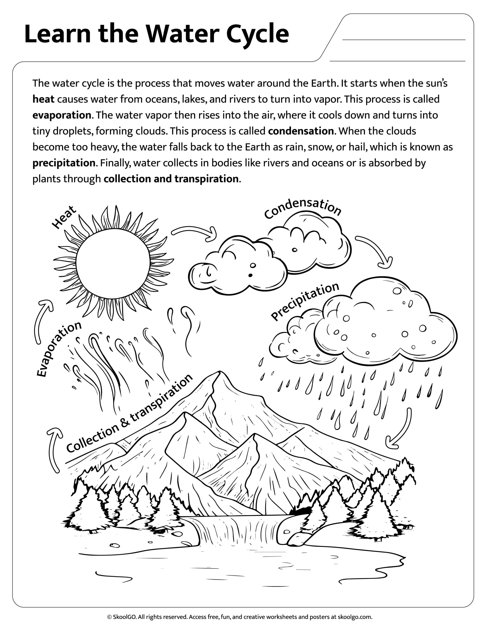printable water cycle worksheet pdf